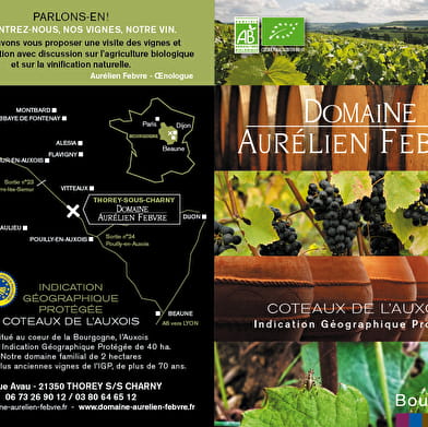 Domaine Aurélien Febvre 