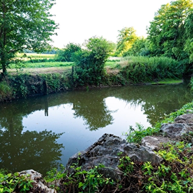 Moulin de la Coudre