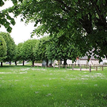 Aire de pique-nique d'Épernay-sous-Gevrey - EPERNAY-SOUS-GEVREY