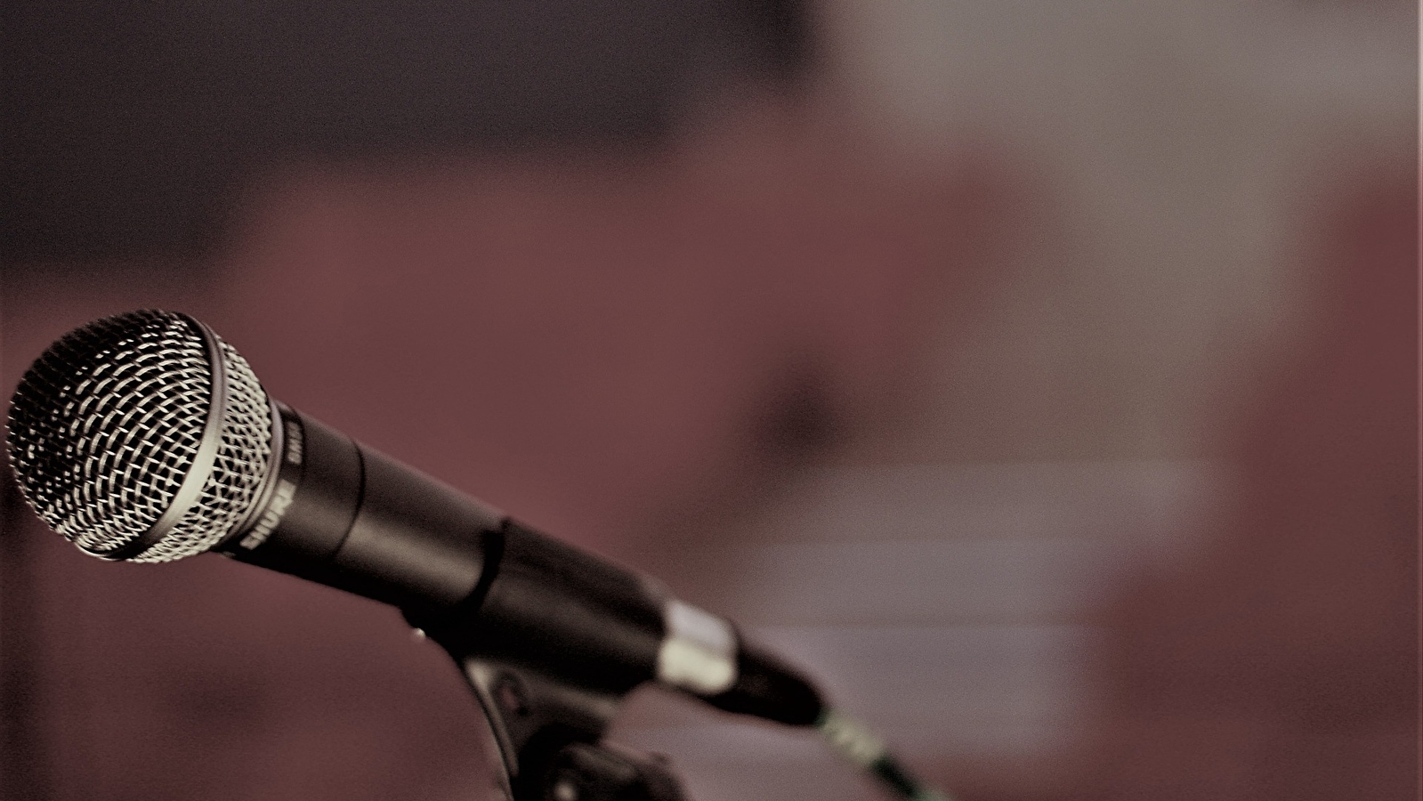 Programmation des vendredis à l'Arlequin