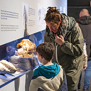Musée de préhistoire de Solutré - SOLUTRE-POUILLY