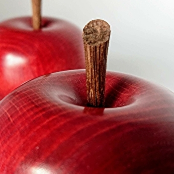 La Boissellière - MARCILLY-LES-BUXY