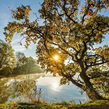 La Maison des Étangs-Est - 59B - SERGENAUX