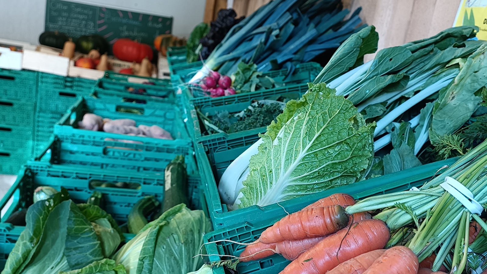 Les Jardins du Salignon