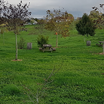 Aire de pique-nique de la Fosse aux Loups - GRON