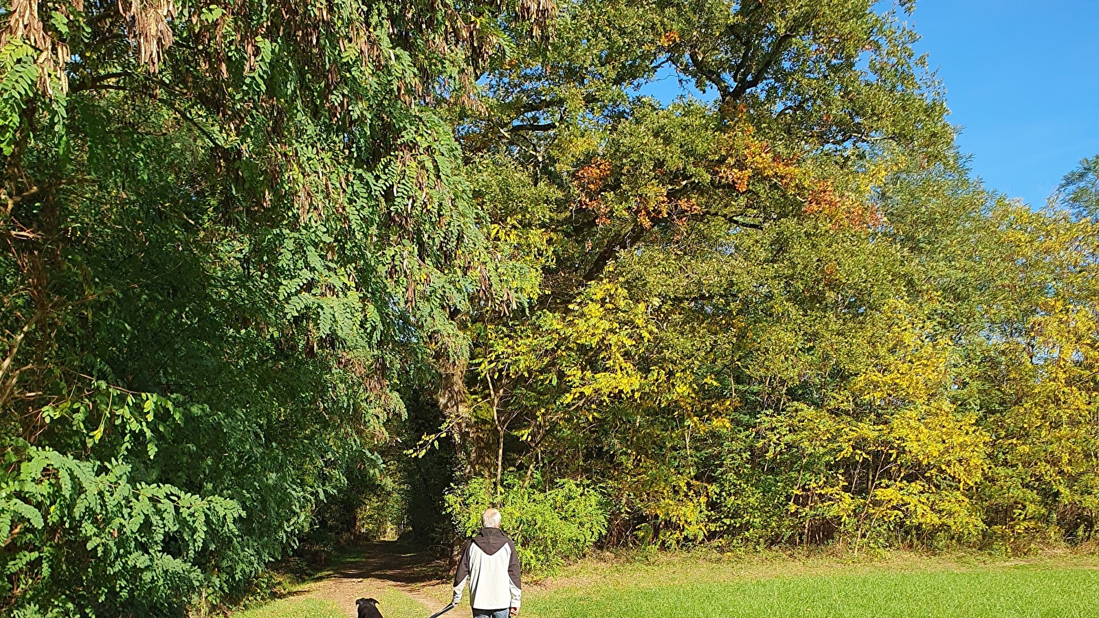 Circuit randonnée : de l'arboretum.