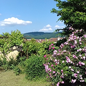 Jardin de Curé - CLUNY