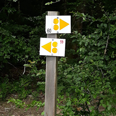  VTT dans les Monts de Gy : Circuit 59 'Vauvenise' 