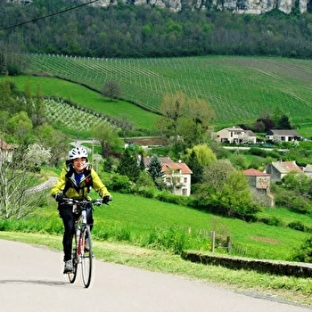 Bike and Wine Tours by Active Tours - RULLY