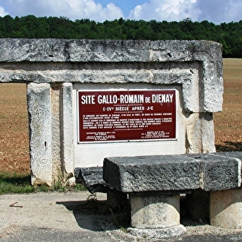 Aire de pique-nique de Diénay - DIENAY