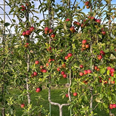 Les vergers-potagers du château de Montigny-sur-Aube