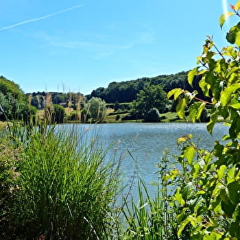 Circuit de Chassy - SAUVIGNY-LES-BOIS