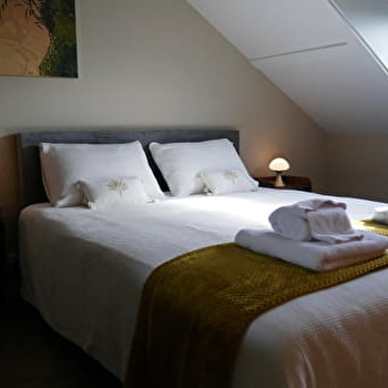 La mésange à tête bleue - PIERRE-DE-BRESSE