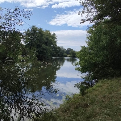 Aire de camping-cars de Louhans le Port