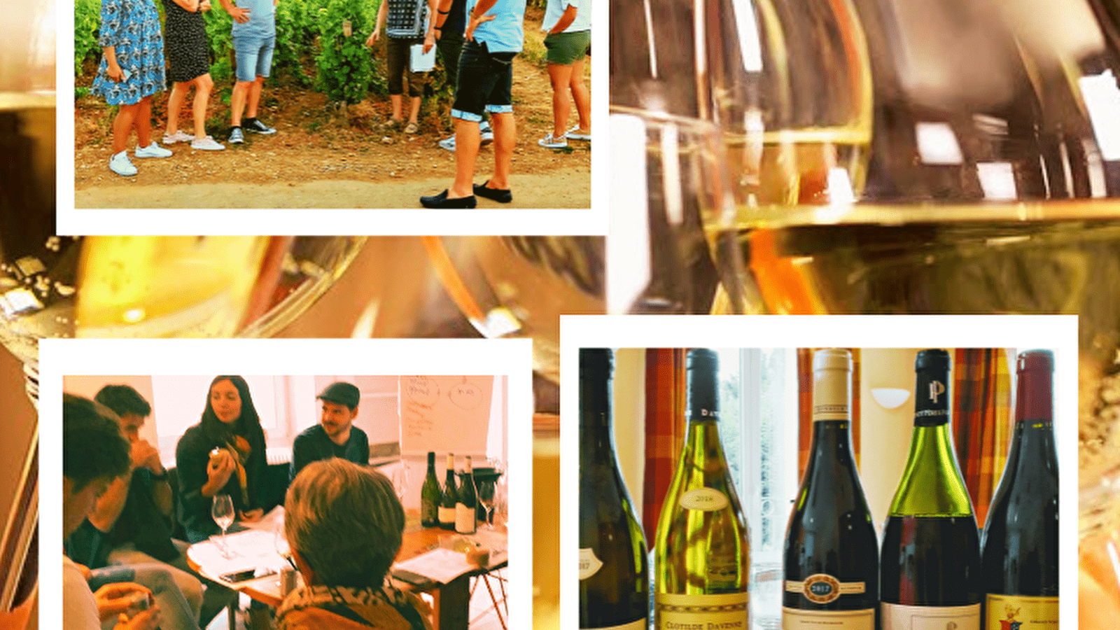 Masterclass/ Stage découverte des vins de Bourgogne : Balade guidée et  initiation à la dégustation et à l'oenologie