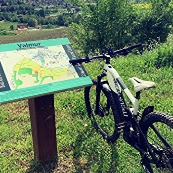 Location de VTT à assistance électrique - À la découverte du vignoble Chablisien avec Marc Colin - CHABLIS