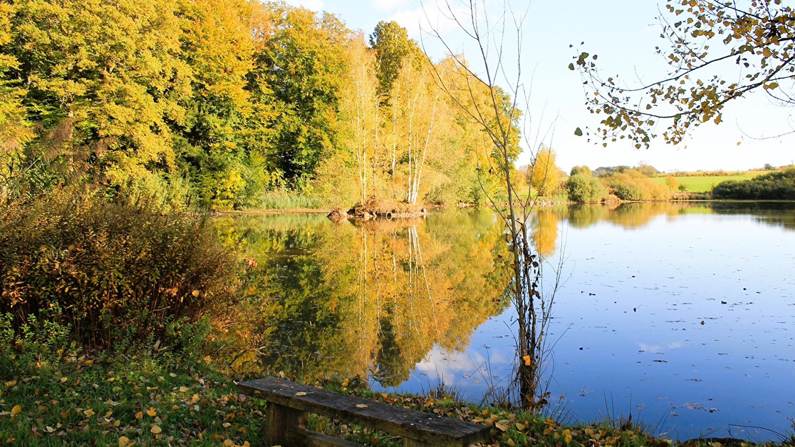 La Boucle des Bruyères