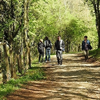 Plateau de Cita - NAVENNE