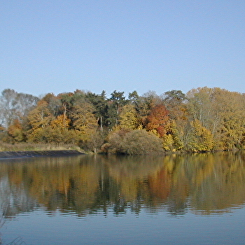 Ponton d'Heuilley - Canal - HEUILLEY-SUR-SAONE