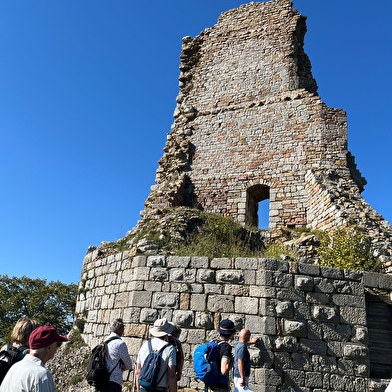 Visites guidées du château de Montfaucon
