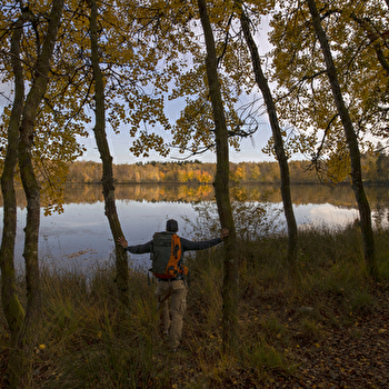 Le Sentier du Bois des Hauts - BELMONT