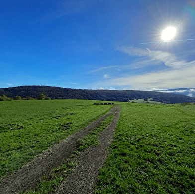 Randonnée - La tour de Saint Amand