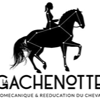 Les écuries de la Gachenotte - LA RESIE-SAINT-MARTIN