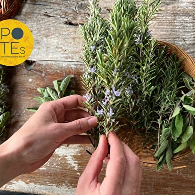 WHICH?GARDEN – le jardin bio qui nourrit la terre, le corps et l’âme !