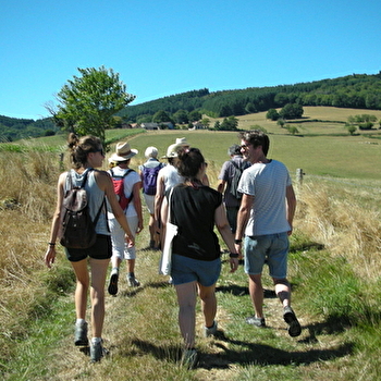 Circuit du Grand Vernay - LA GRANDE-VERRIERE