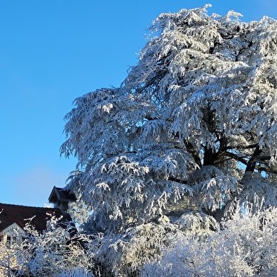 Domaine des Hauts - La Ferme des Hauts
