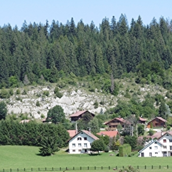 Appartement - Auvray-Cailleaux - MOUTHE
