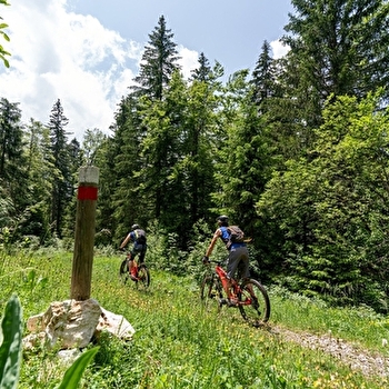 Boucle du Risoux - 17N - BELLEFONTAINE