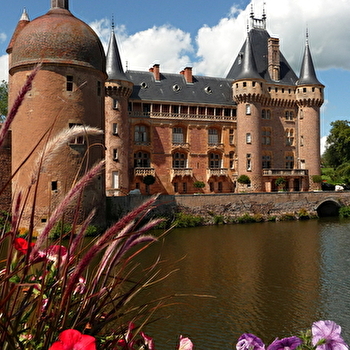 Flore et Faune en Bord de Lac  - LA CLAYETTE