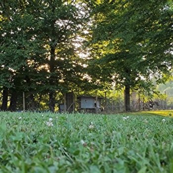 Nordikroad - Visite du parc animalier - DOMMARTIN-LES-CUISEAUX