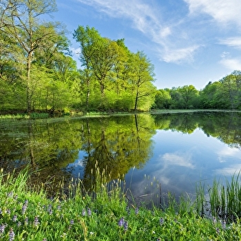 L'ancienne Abbaye - 60B - SELLIERES