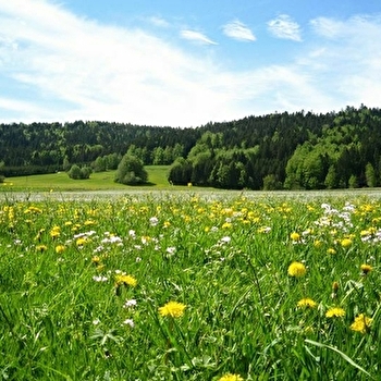 Aire de stationnement - Renédale - RENEDALE