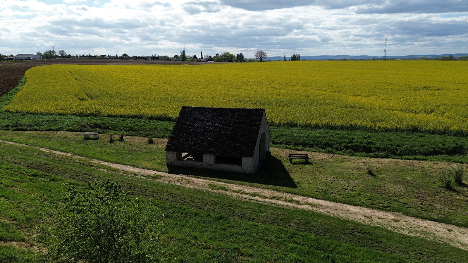 De la forêt communale à la Saône