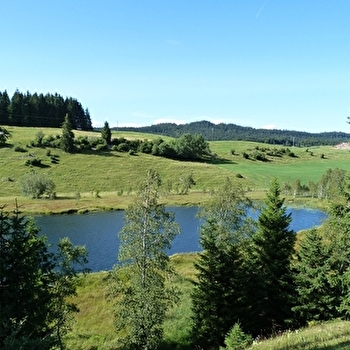 Tour du Val de Mouthe - MOUTHE