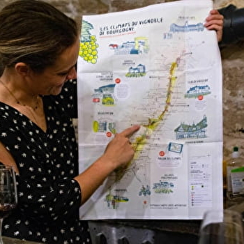 Vino Dilectio - DIJON