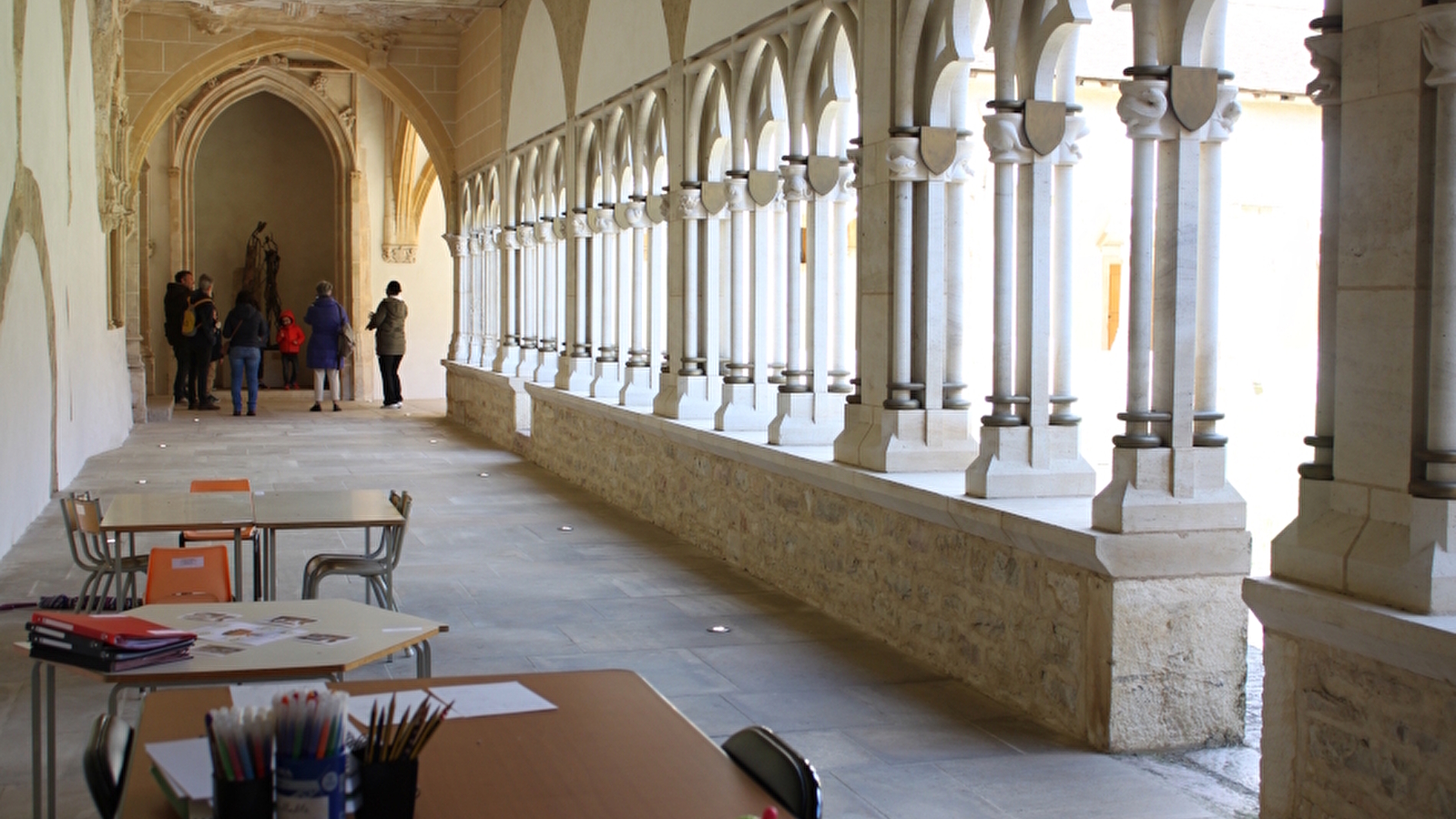 Activités familles - Bêtes curieuses