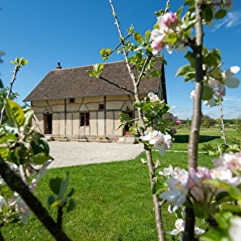 Champ Chignard - ALLEREY-SUR-SAONE