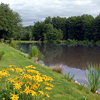 Les étangs et les fontaines - CHENEBIER