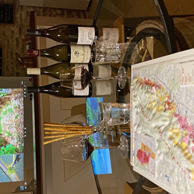 Atelier d'initiation à l'œnologie