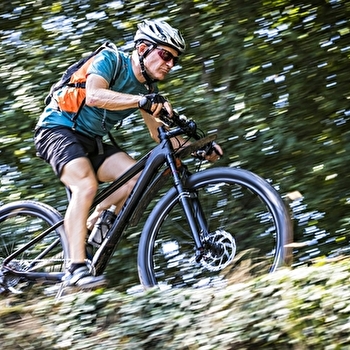 En terre Charolaise - SAINT-CHRISTOPHE-EN-BRIONNAIS