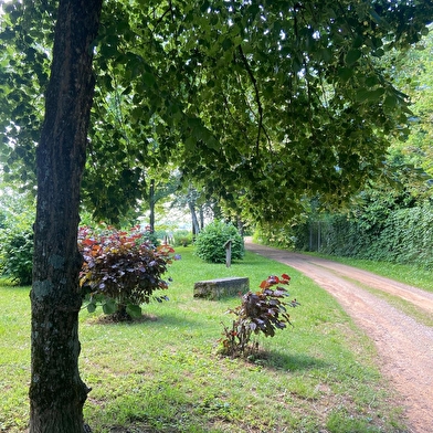 Des merveilles colorées de l'église Saint-Martin à la sérénité du Carmel Saint-Joseph