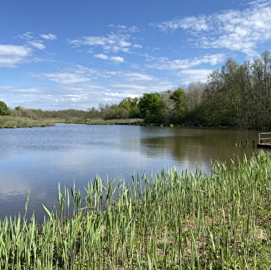 Le Sentier des étangs Vaillant, du Crêt et du Fort