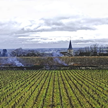 Les Héritiers Saint-Genys - CHASSAGNE-MONTRACHET