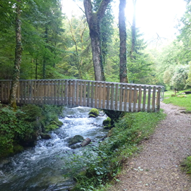 Promenade des Sources de l'Allondon