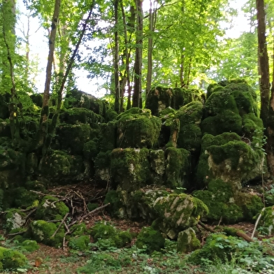 Sentier Karstique du Grand Bois