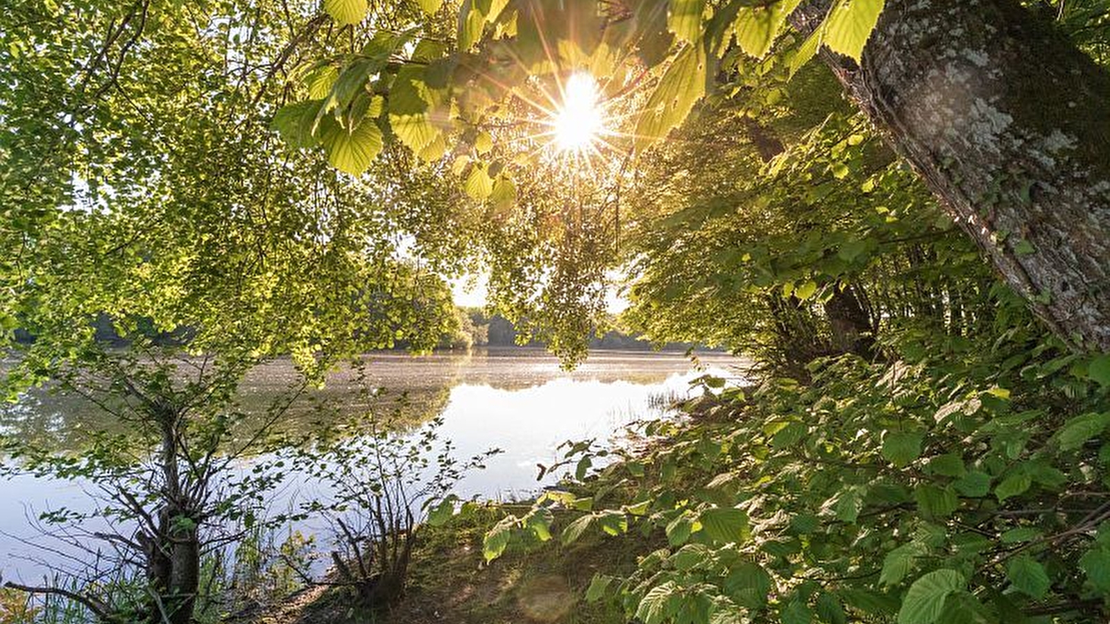 Espace naturel du Pont du Roi